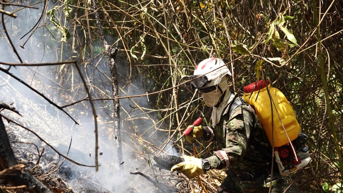 El Tiempo — Salud — Humo de incendios forestales amenaza la salud respiratoria de los habitantes del Tolima: experto da recomendaciones ante riesgos por calidad del aire